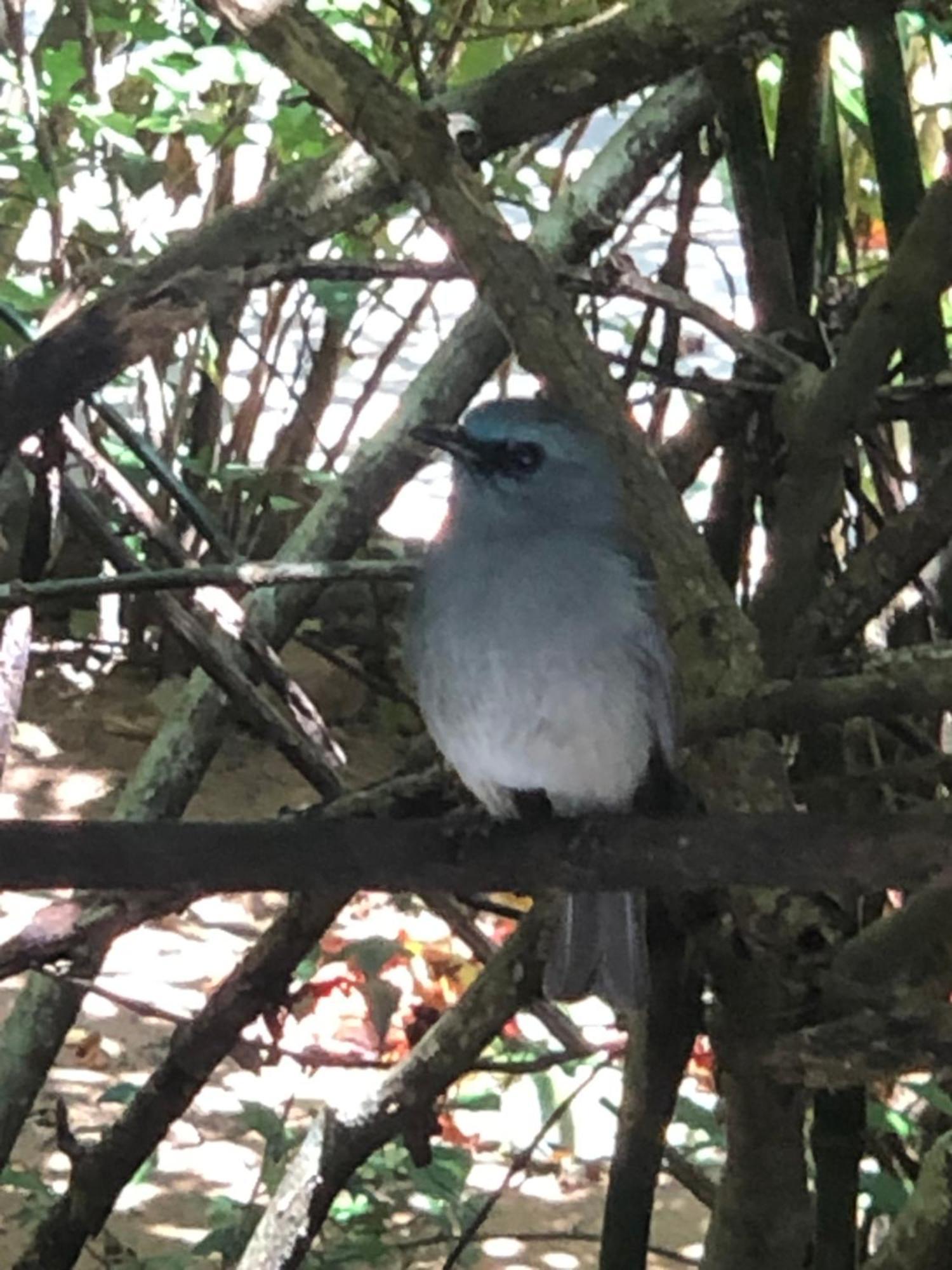 Surrey Bird Sanctuary & Holiday Resort Welimada エクステリア 写真