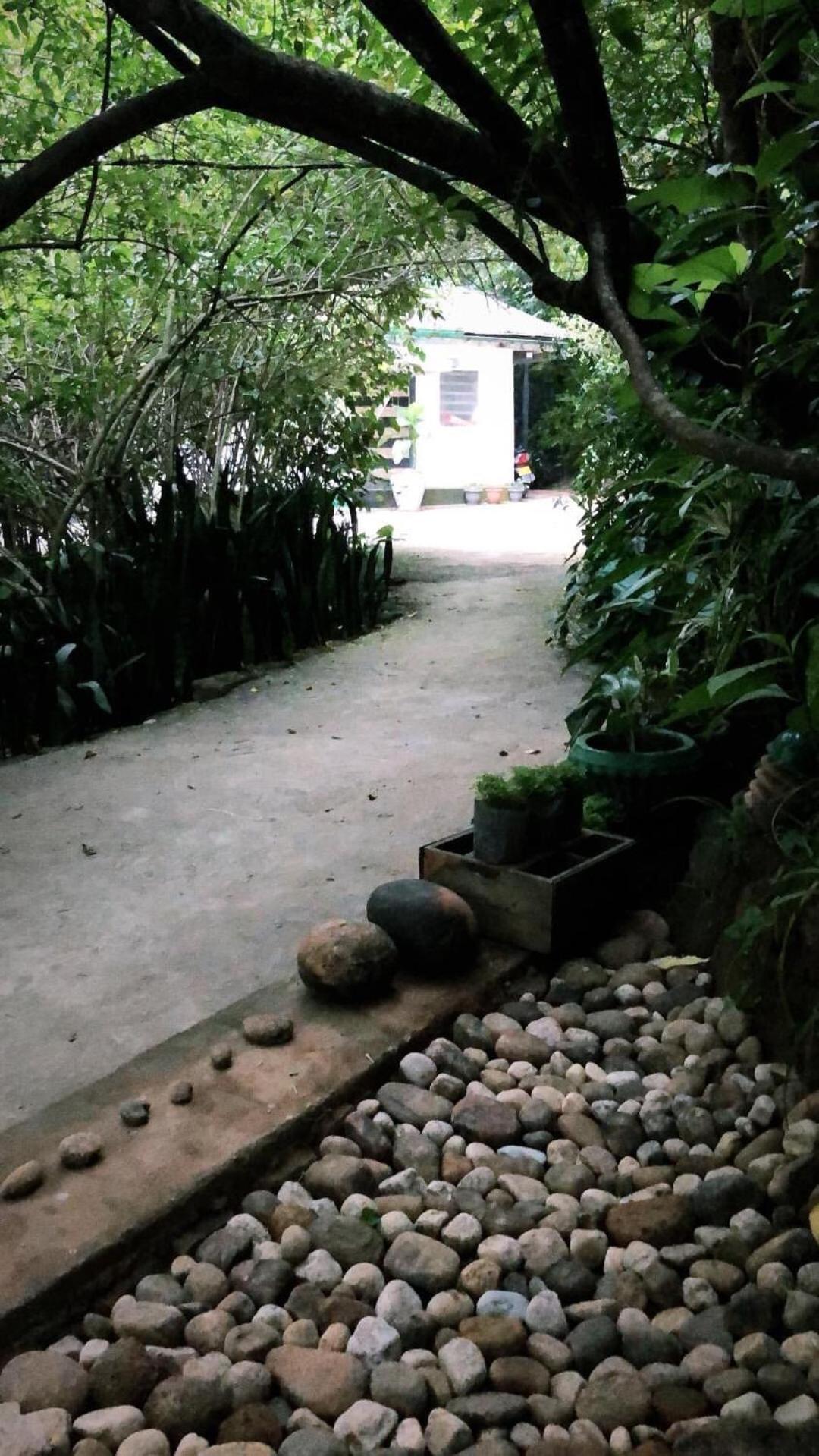 Surrey Bird Sanctuary & Holiday Resort Welimada エクステリア 写真