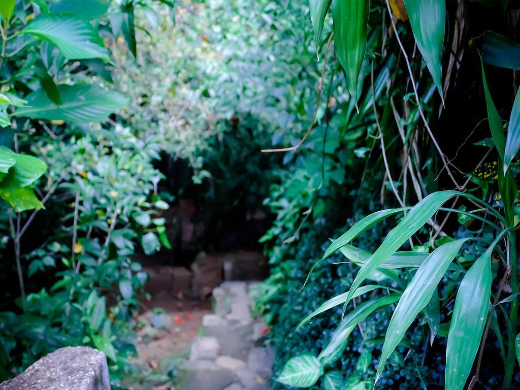 Surrey Bird Sanctuary & Holiday Resort Welimada エクステリア 写真