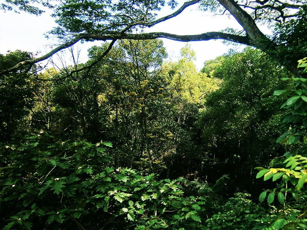 Surrey Bird Sanctuary & Holiday Resort Welimada エクステリア 写真
