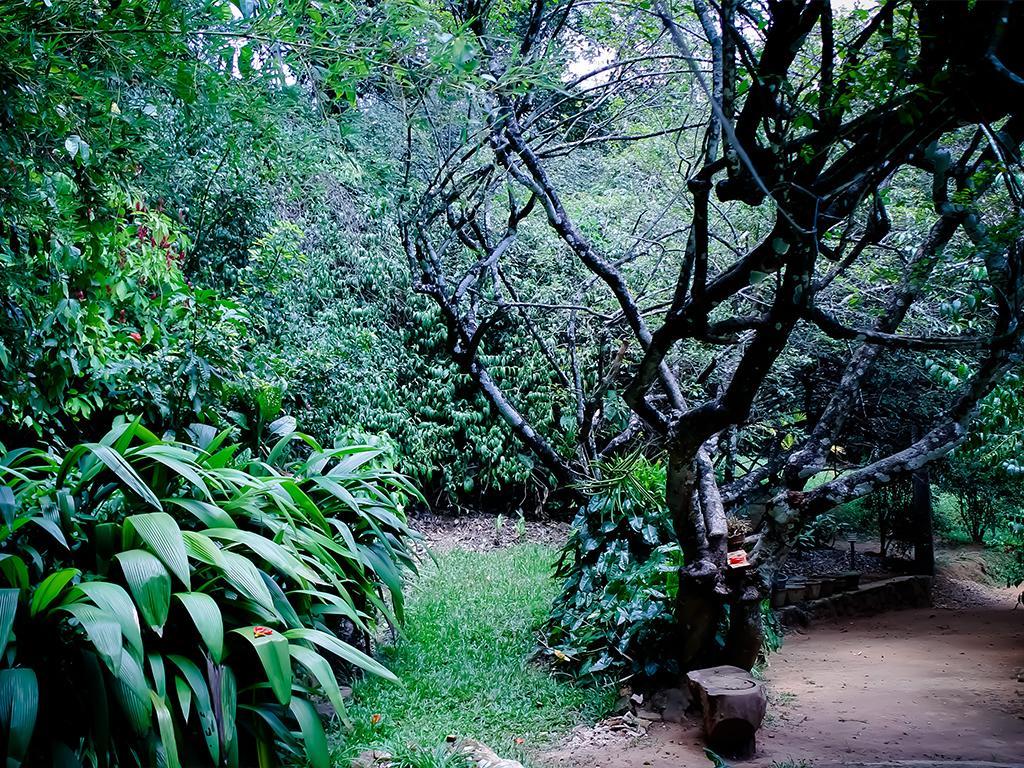 Surrey Bird Sanctuary & Holiday Resort Welimada エクステリア 写真